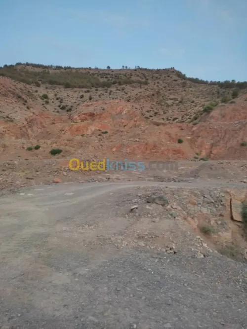Vente Usine Chlef Oued fodda