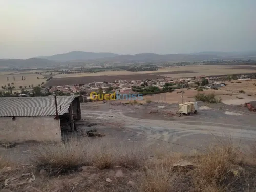 Vente Usine Chlef Oued fodda