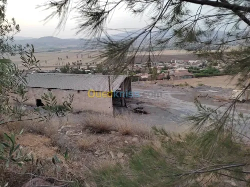 Vente Usine Chlef Oued fodda