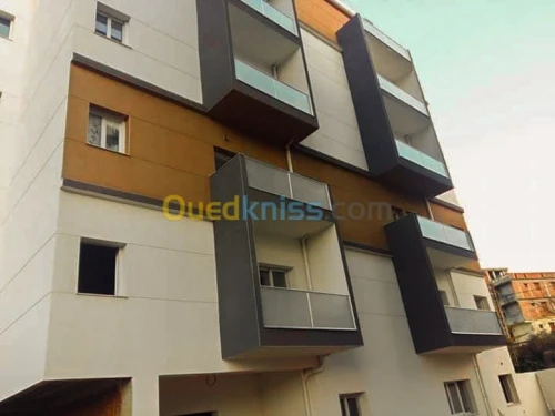 Peinture des facades monocouche