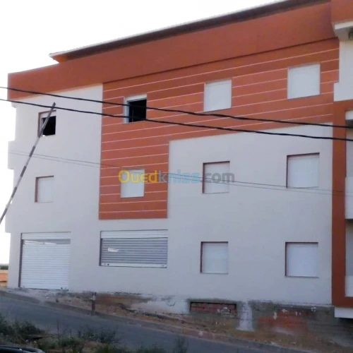 Peinture des facades monocouche