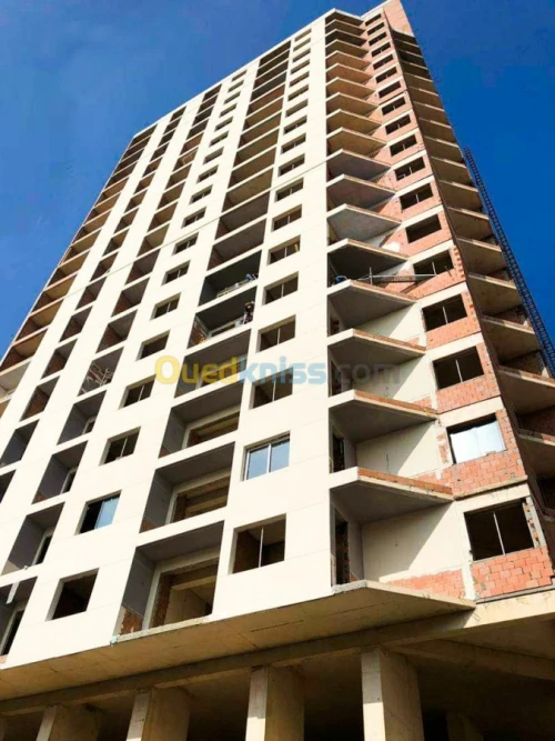 Peinture des facades monocouche