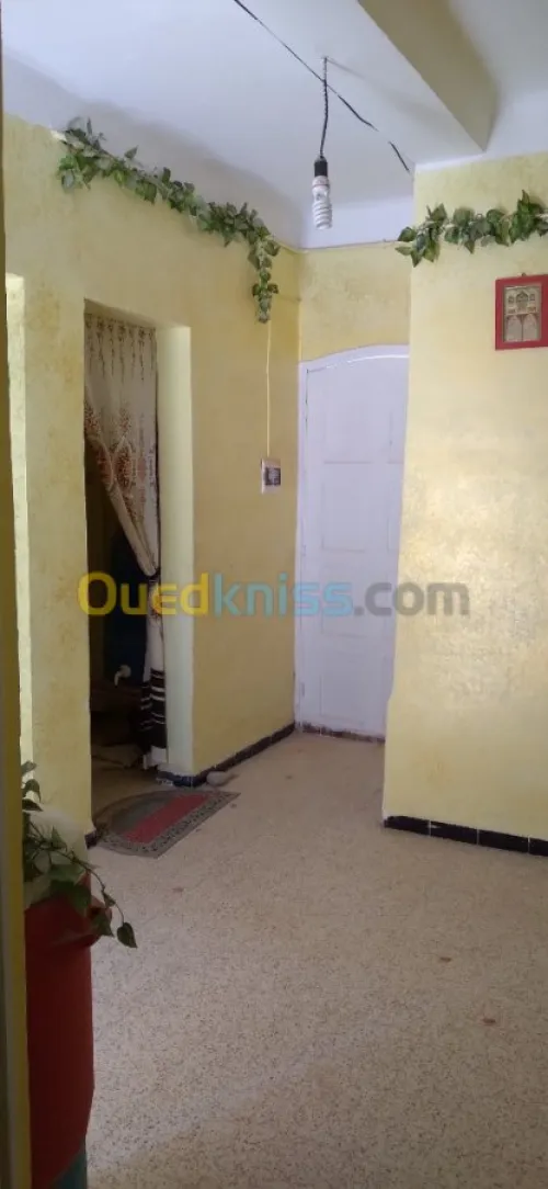 Vente bien immobilier Ouargla Nezla