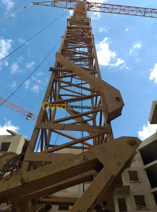 la grue Grue cadiant