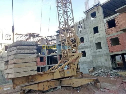 la grue Grue cadiant