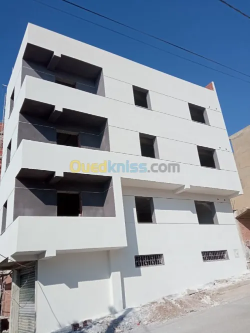 PEINTURE FACADES en MONOCOUCHE