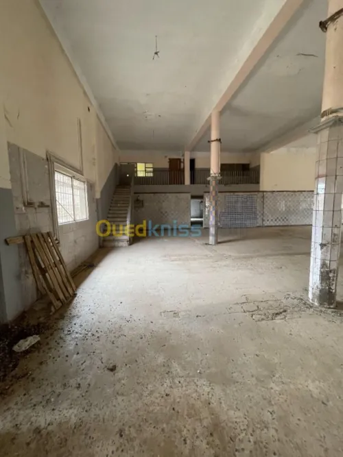 Vente Usine Ain defla Boumedfaa