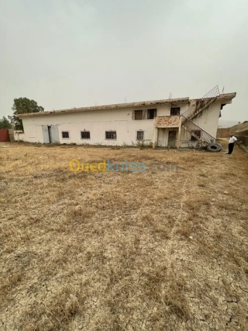 Vente Usine Ain defla Boumedfaa