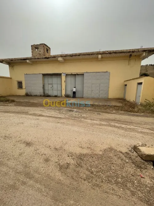 Vente Usine Ain defla Boumedfaa