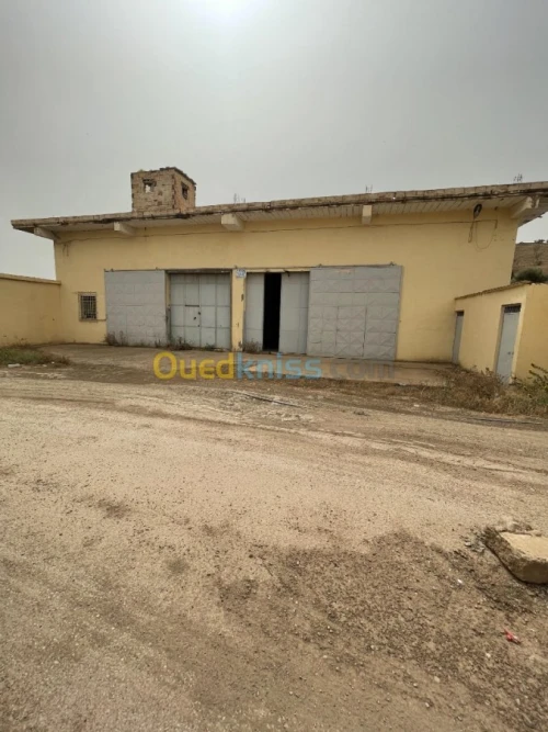 Vente Usine Ain defla Boumedfaa