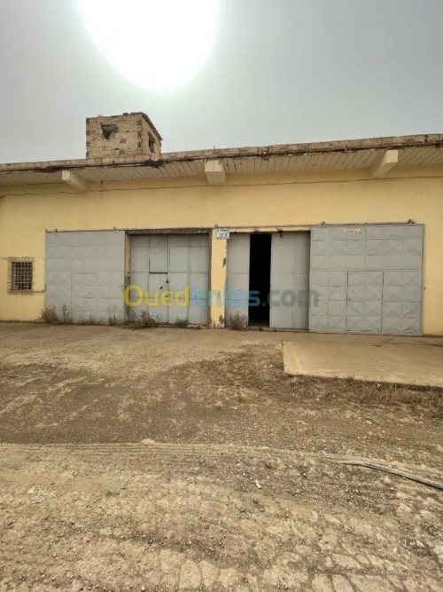 Vente Usine Ain defla Boumedfaa