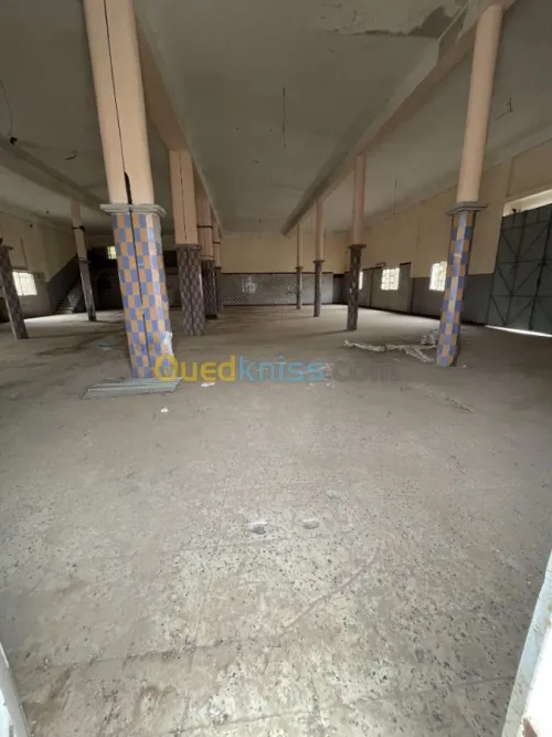 Vente Usine Ain defla Boumedfaa