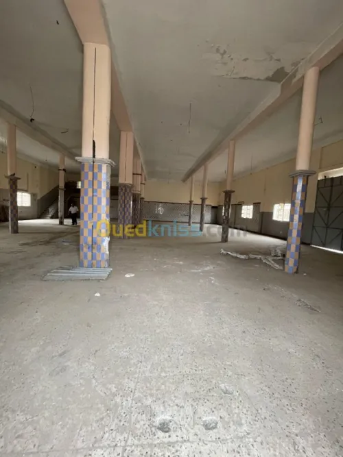 Vente Usine Ain defla Boumedfaa