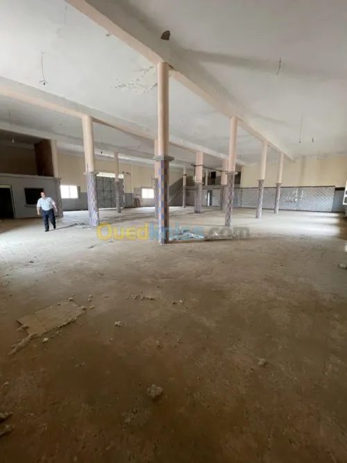 Vente Usine Ain defla Boumedfaa