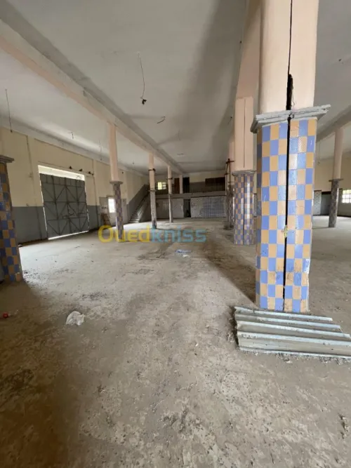 Vente Usine Ain defla Boumedfaa