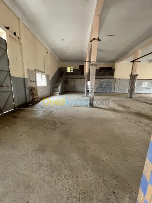Vente Usine Ain defla Boumedfaa
