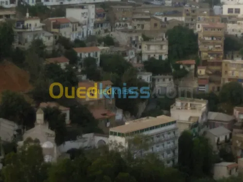 Vente Terrain Alger Sidi mhamed
