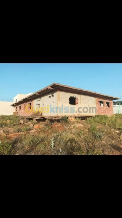 Vente Terrain Agricole Tlemcen Tlemcen