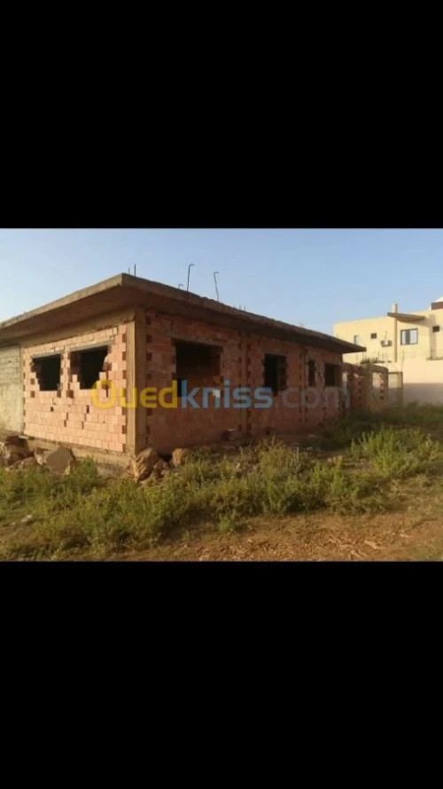 Vente Terrain Agricole Tlemcen Tlemcen