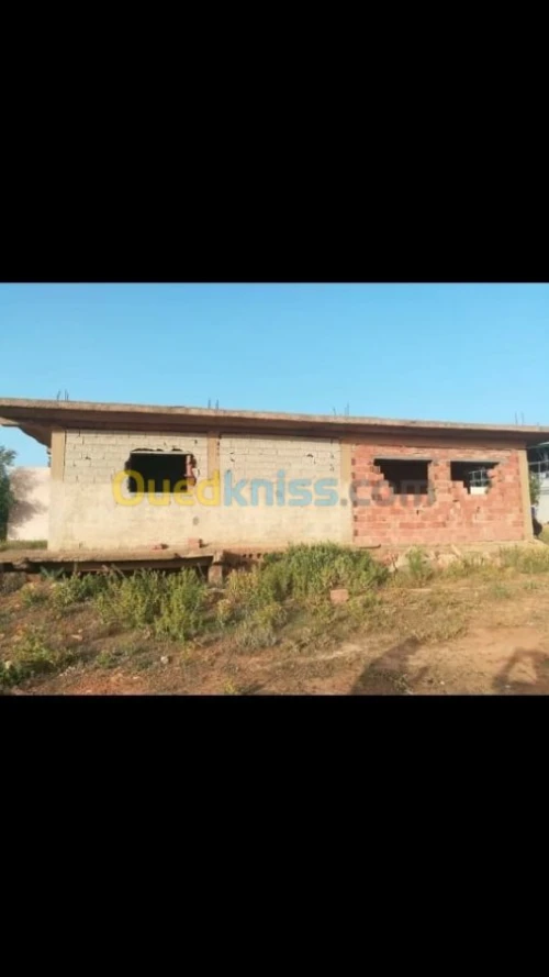 Vente Terrain Agricole Tlemcen Tlemcen