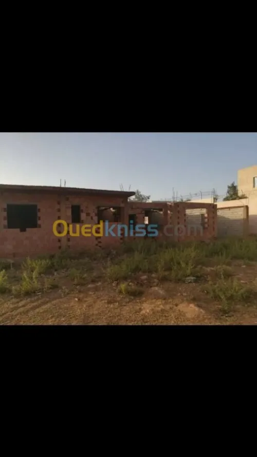 Vente Terrain Agricole Tlemcen Tlemcen