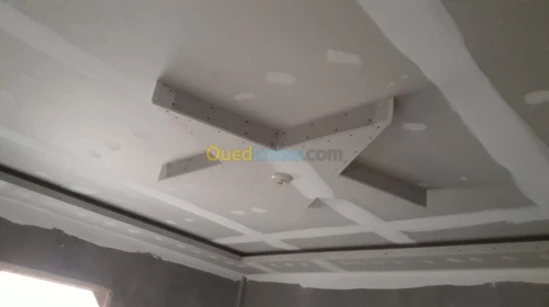 decoration placoplatre