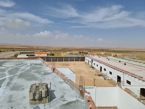 Vente Terrain Agricole Djelfa Dar chioukh
