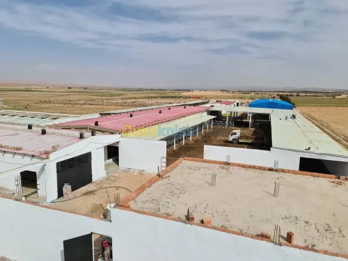 Vente Terrain Agricole Djelfa Dar chioukh