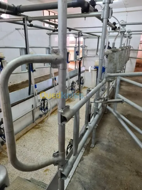 Vente Terrain Agricole Djelfa Dar chioukh