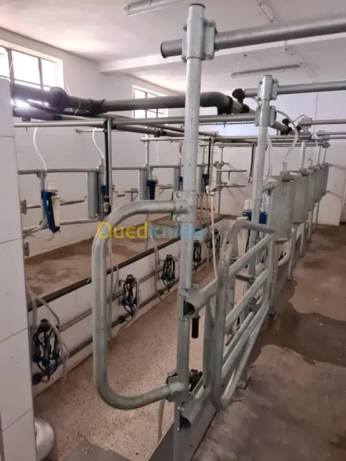 Vente Terrain Agricole Djelfa Dar chioukh