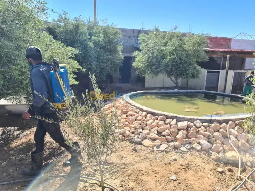 Vente Terrain Agricole Djelfa Dar chioukh