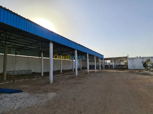 Vente Terrain Agricole Djelfa Dar chioukh