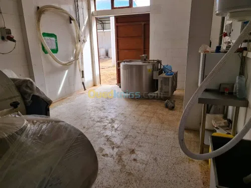 Vente Terrain Agricole Djelfa Dar chioukh