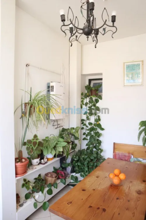 Vente Appartement F3 Mostaganem Mostaganem