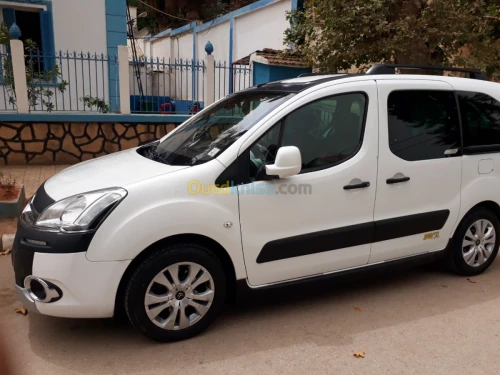 Citroen Berlingo Multispace 2014 