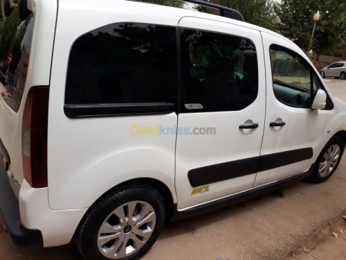 Citroen Berlingo Multispace 2014 