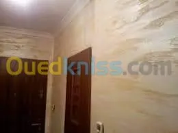 Peintre blida alger a domicile 
