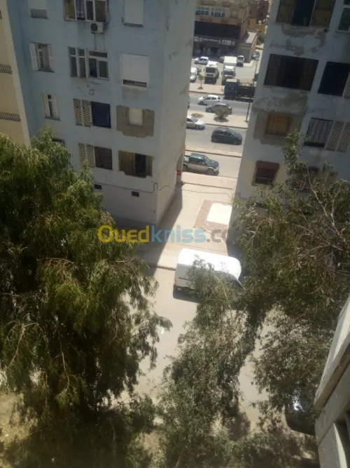 Location Appartement F3 Setif Setif