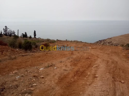Vente Terrain Tlemcen Souahlia