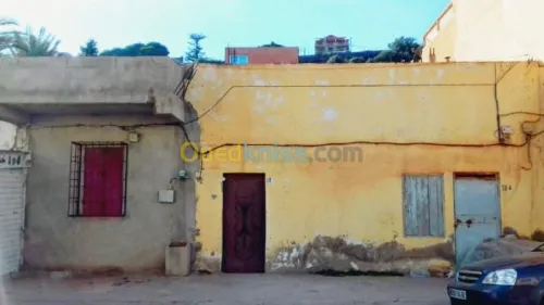 Vente Duplex F7 Chlef Tenes