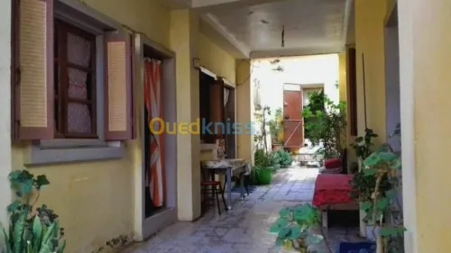 Vente Duplex F7 Chlef Tenes
