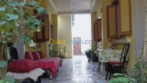 Vente Duplex F7 Chlef Tenes
