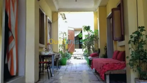Vente Duplex F7 Chlef Tenes