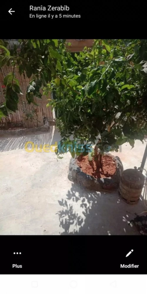Vente Appartement F3 Tipaza Bou ismail