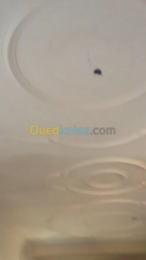 Vente Villa Boumerdes Naciria