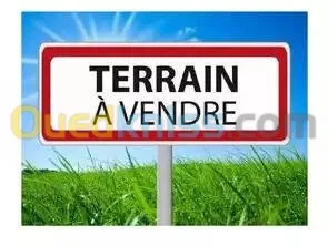 Vente Terrain Biskra Biskra