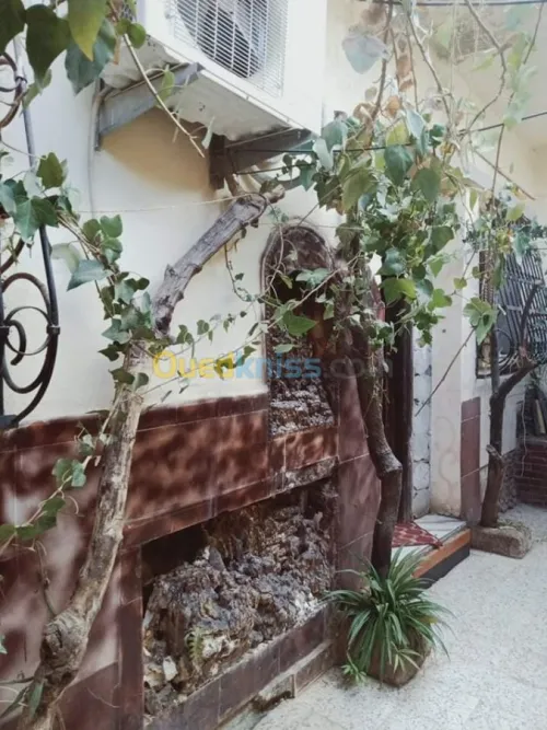 Vente Villa Ain defla Arib