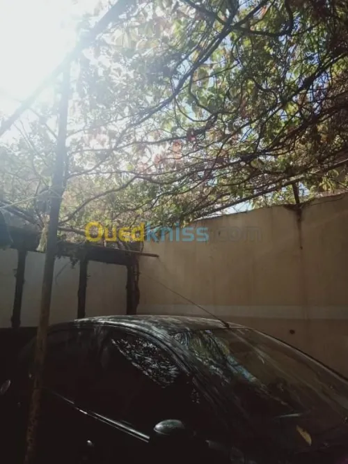 Vente Villa Ain defla Arib