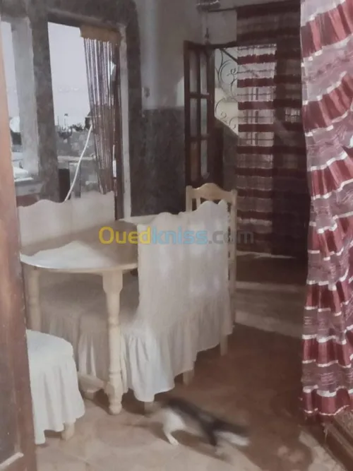 Vente Villa Ain defla Arib