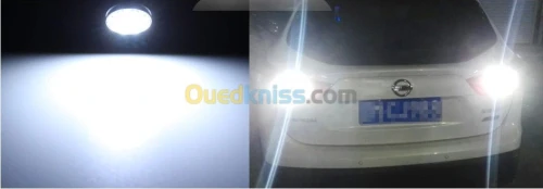 Ampoules LED de qualité 